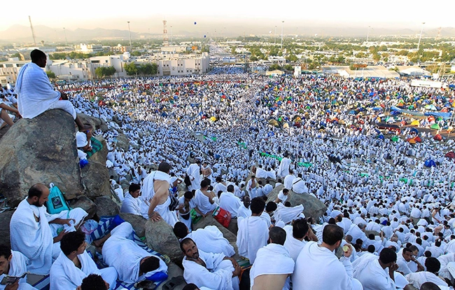 baground arafah by dim kreatif jasa bikin website murah