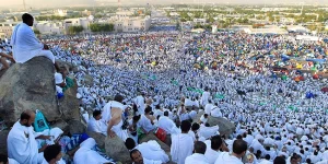 baground arafah by dim kreatif jasa bikin website murah