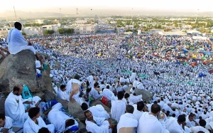 baground arafah by dim kreatif jasa bikin website murah